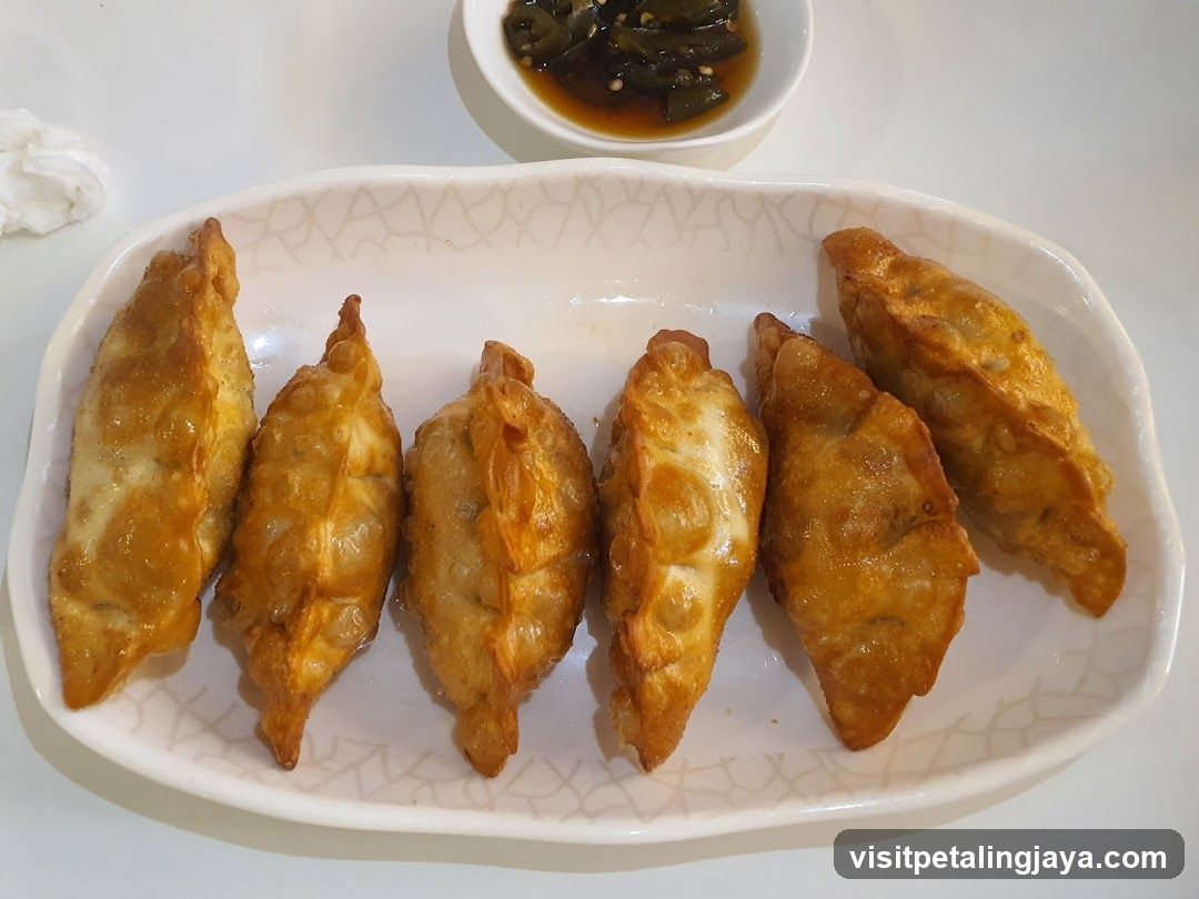 Fried Dumplings with Sauce