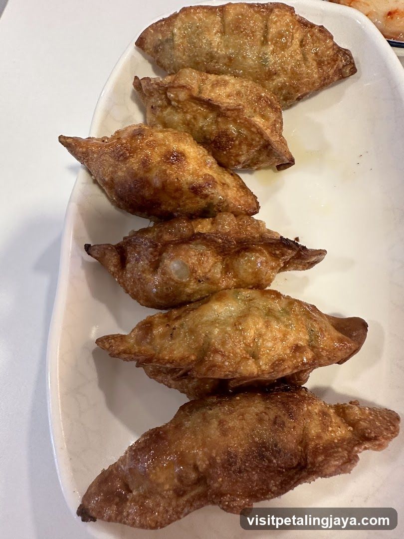 Fried Dumplings on a Plate