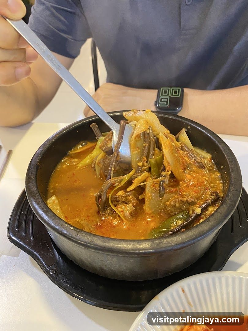 Korean stew in stone pot