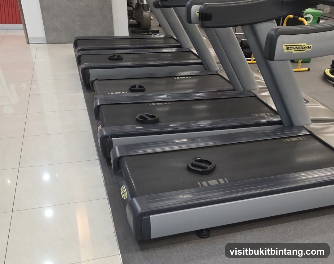 Gym Treadmills