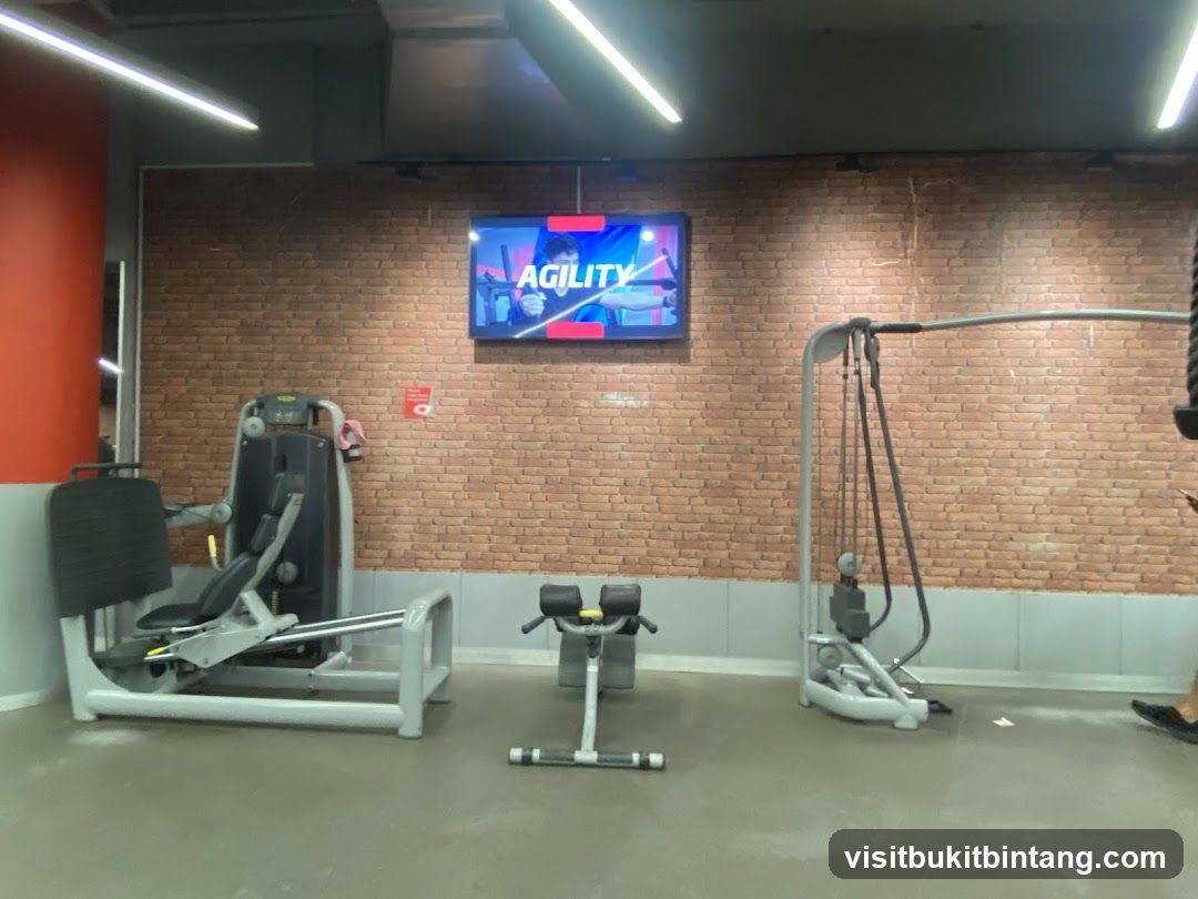 Gym Equipment