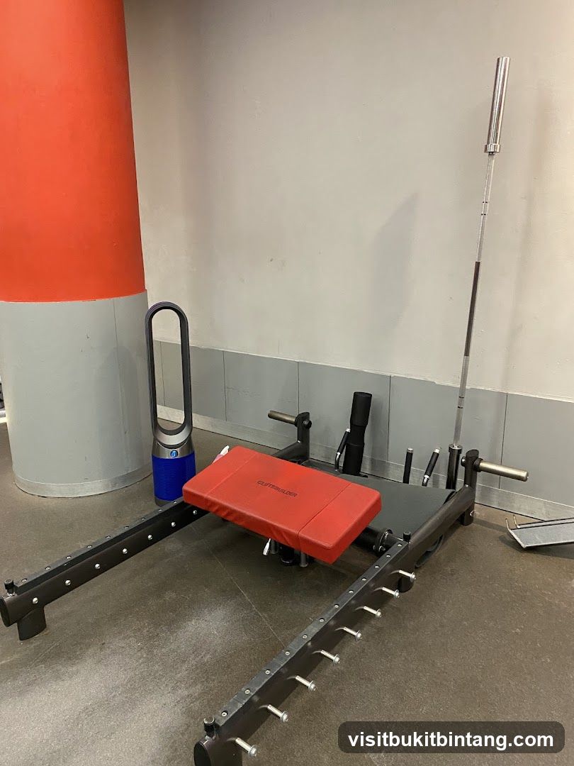 Gym Equipment
