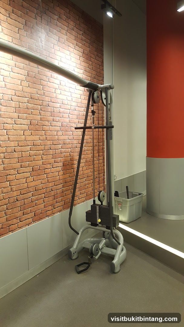 Gym Cable Machine