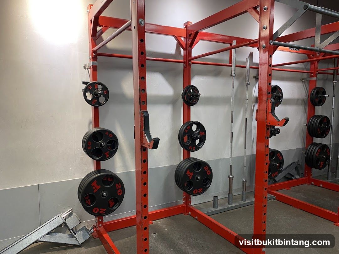 Weight Rack with Plates and Barbells