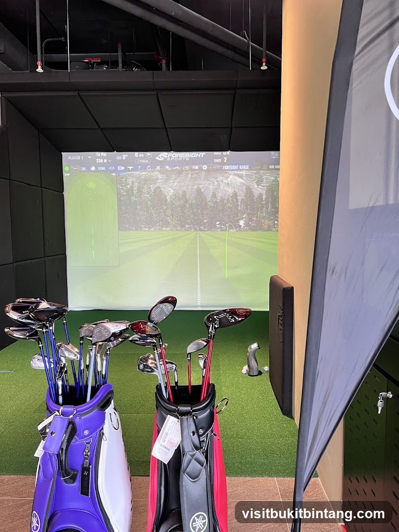 Golf Simulator Bay