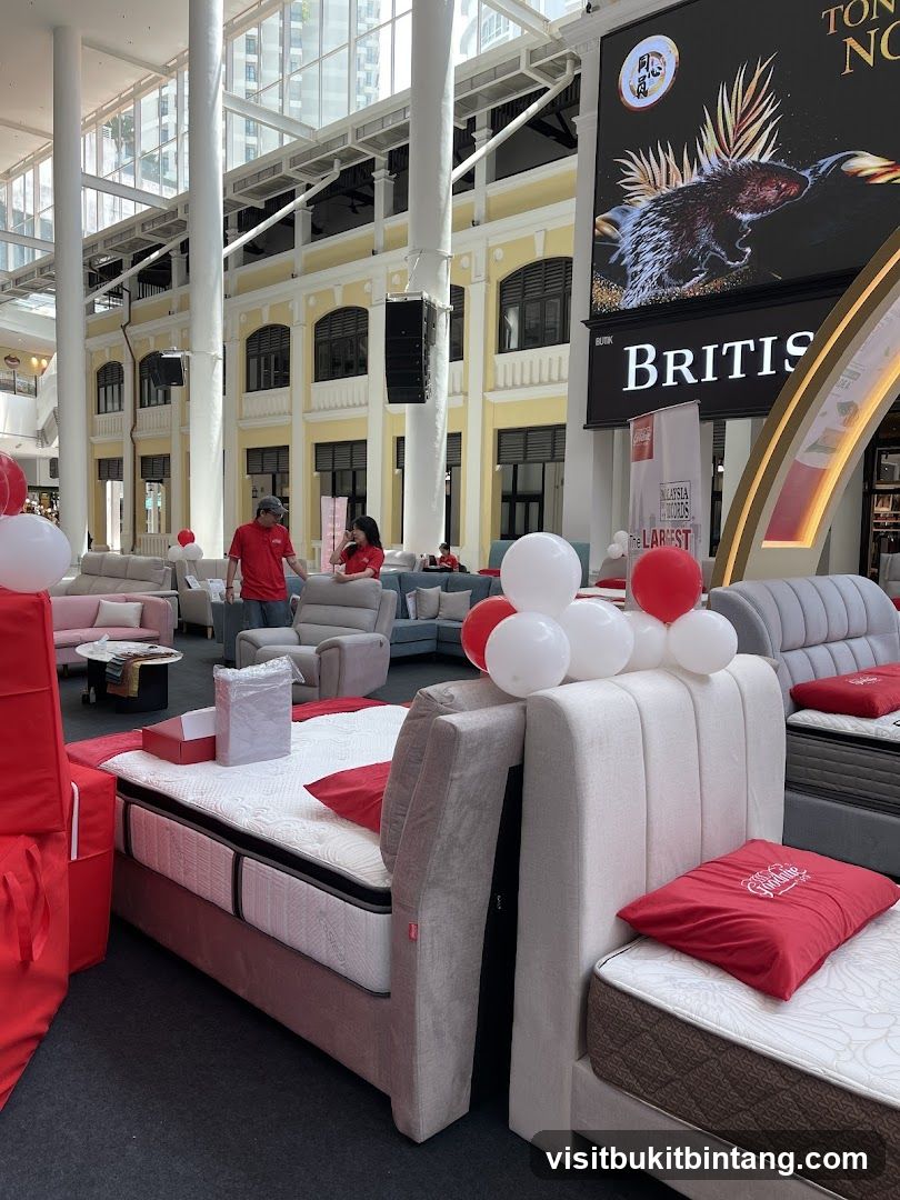 Mattress and Sofa Showroom