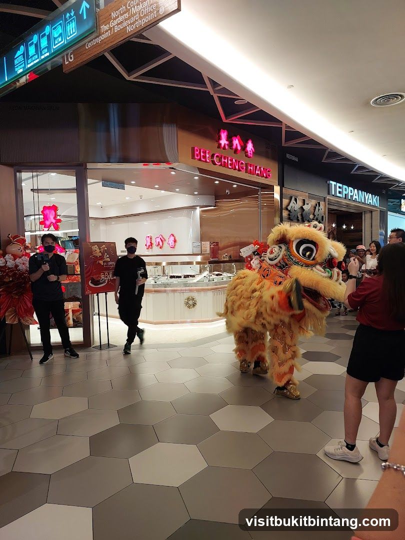 Lion Dance Performance
