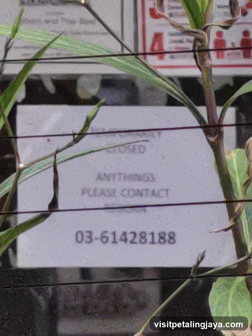 Closed Sign with Contact Info