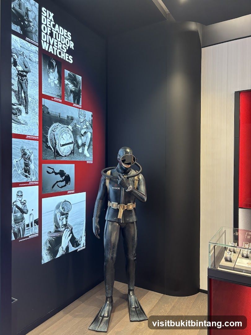 Tudor Divers Watches Display