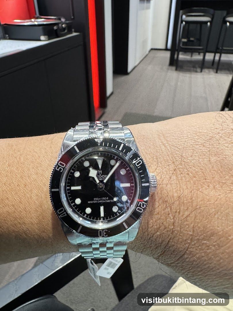 Tudor Watch on Wrist