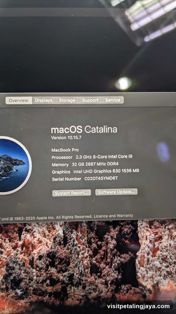 macOS Catalina System Information Window