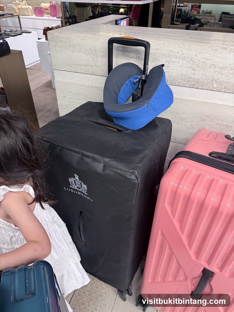 Luggage and Neck Pillow