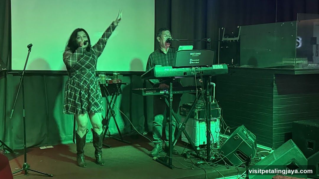 Live Music Performance