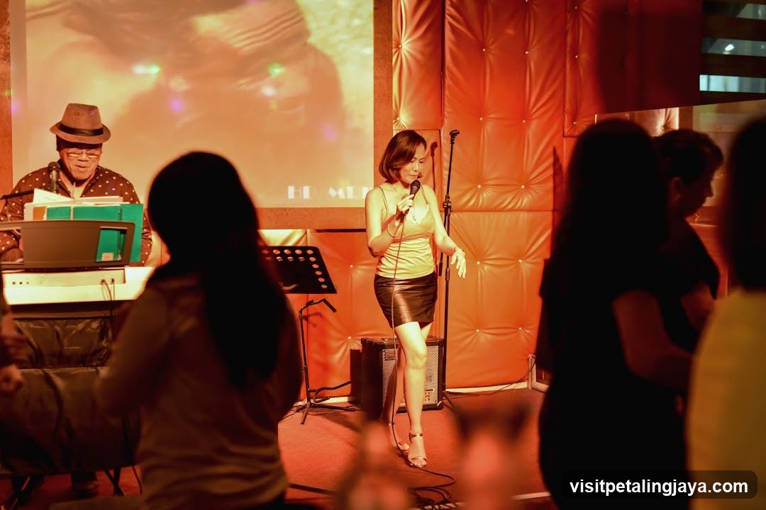 Live Music Performance