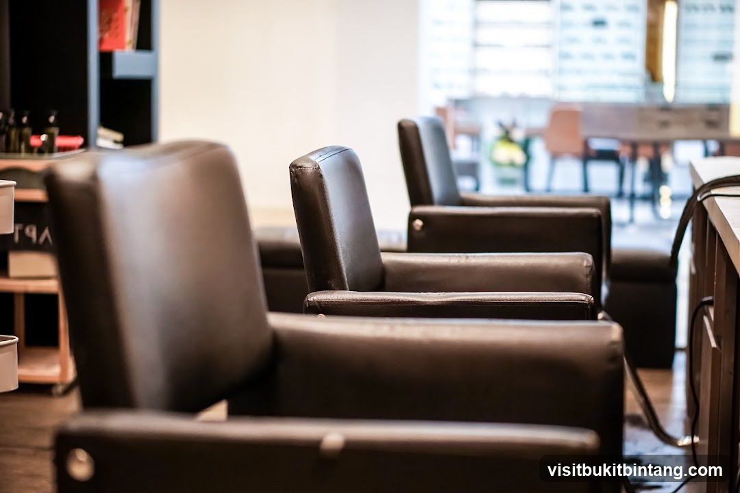 Salon Chairs