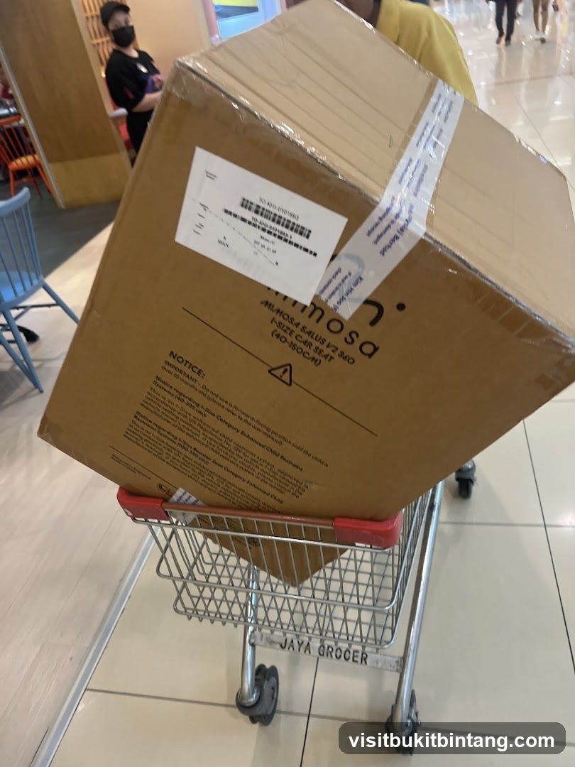 Car Seat Box in Shopping Cart