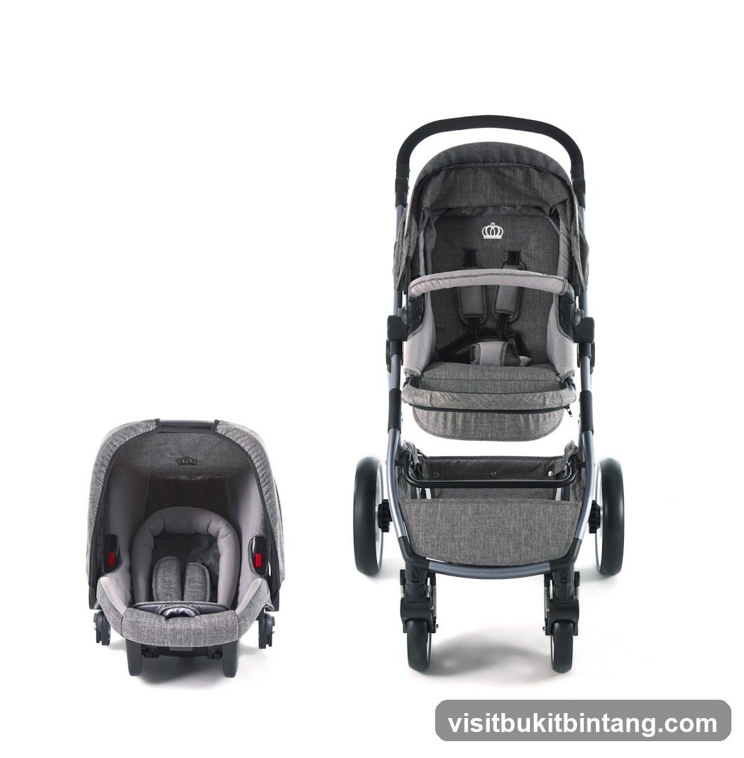 Baby Travel System