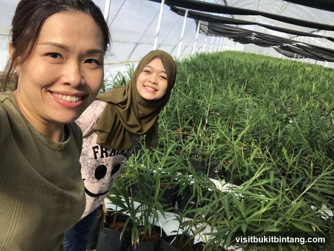 Two Women in a Greenhouse