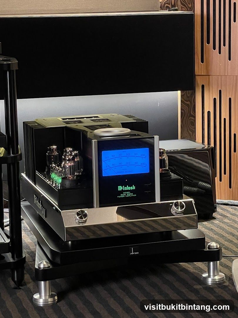 McIntosh Dual Mono Power Amplifier