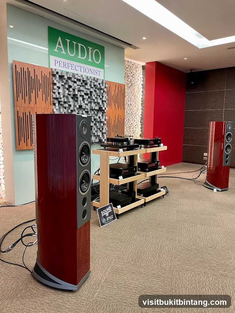 Audio Perfectionist Showroom
