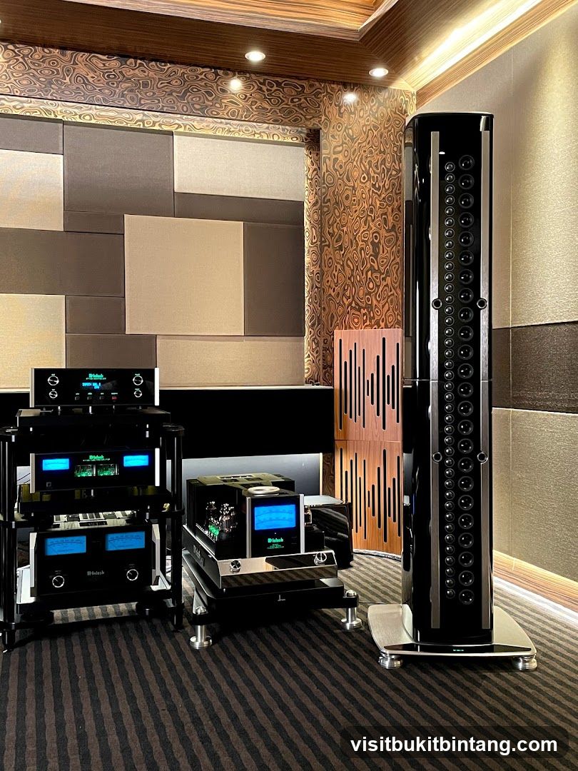 High-end audio equipment display
