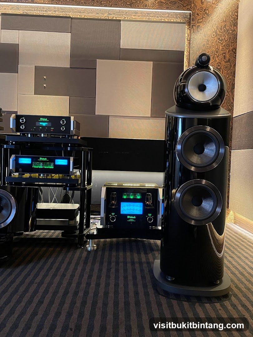 High-end audio equipment display