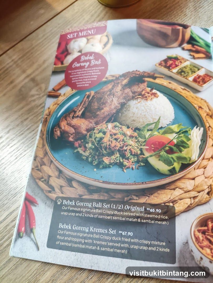 Bebek Goreng Bali Set Menu