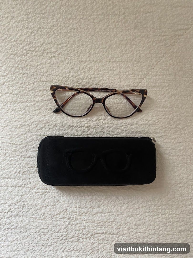 Eyeglasses and Case