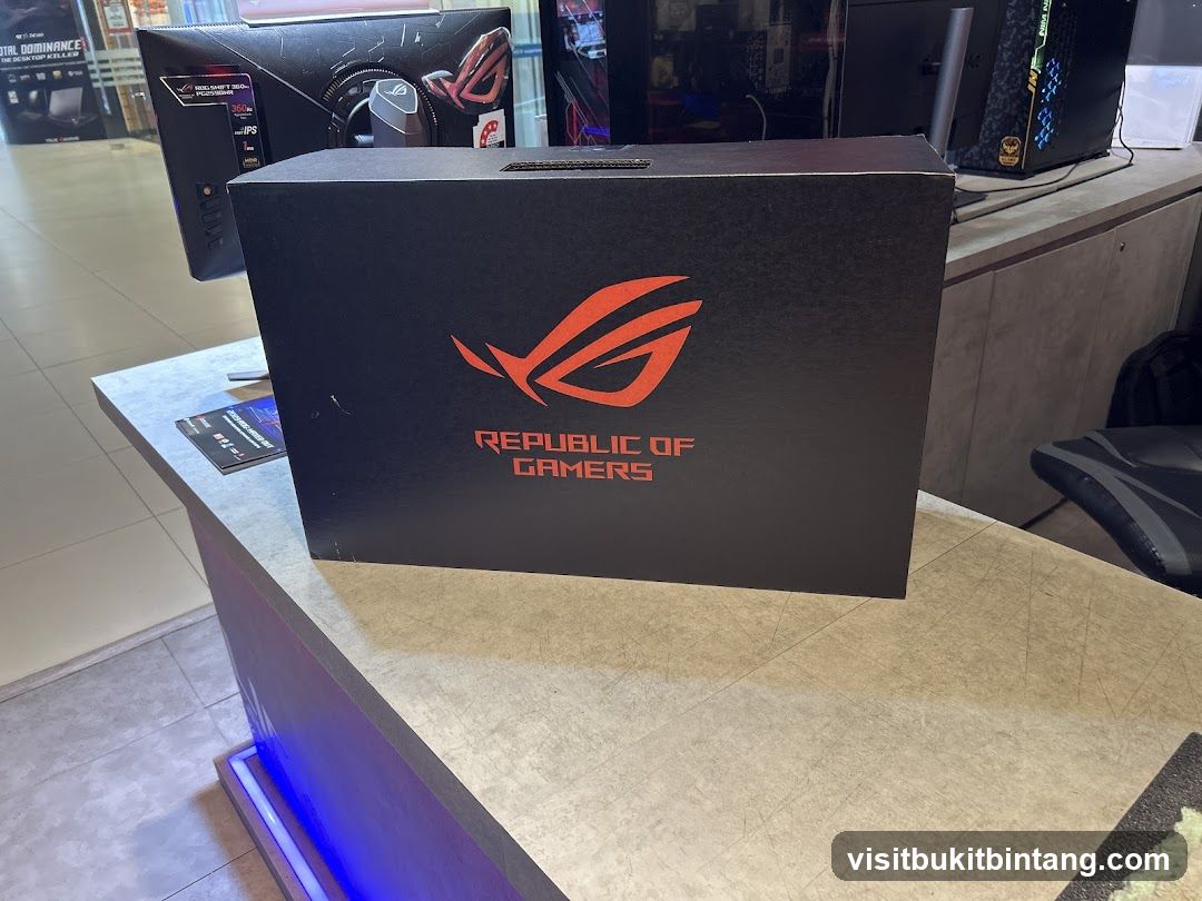 Republic of Gamers Box