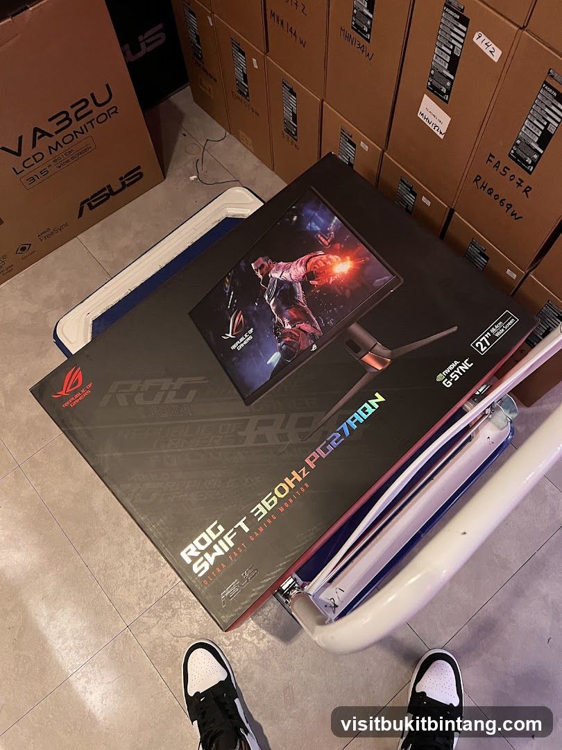 ASUS ROG Swift Monitor Box