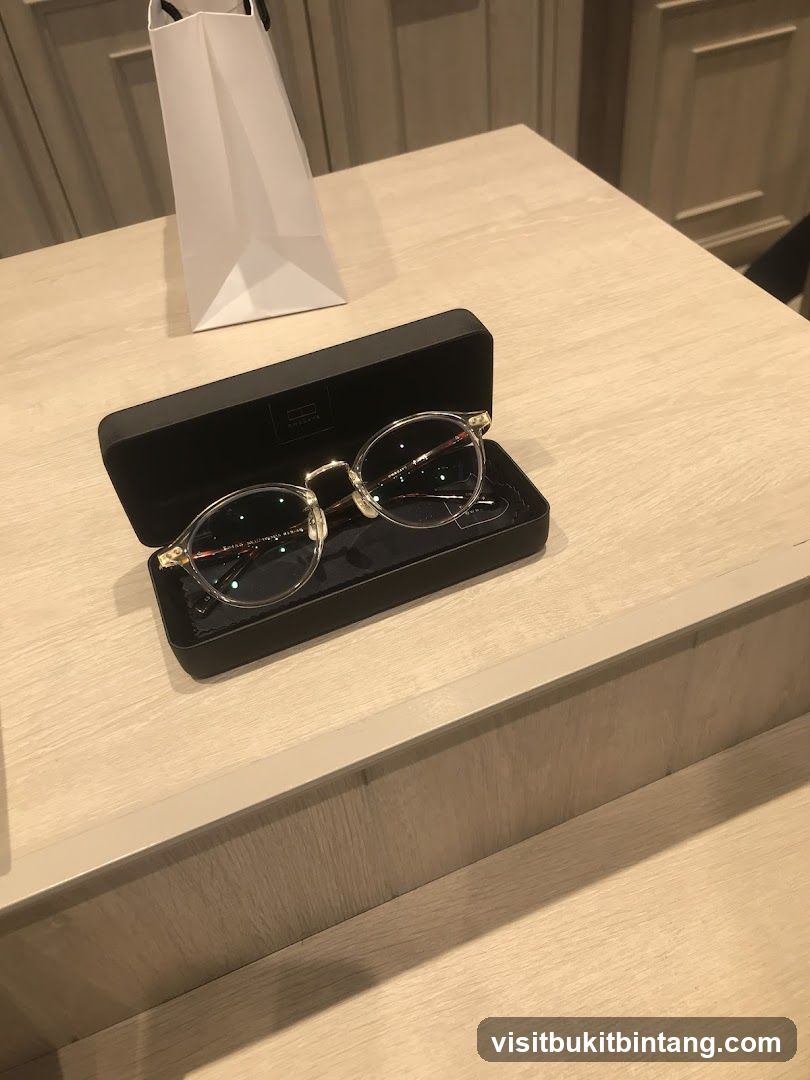 Eyeglasses in a case