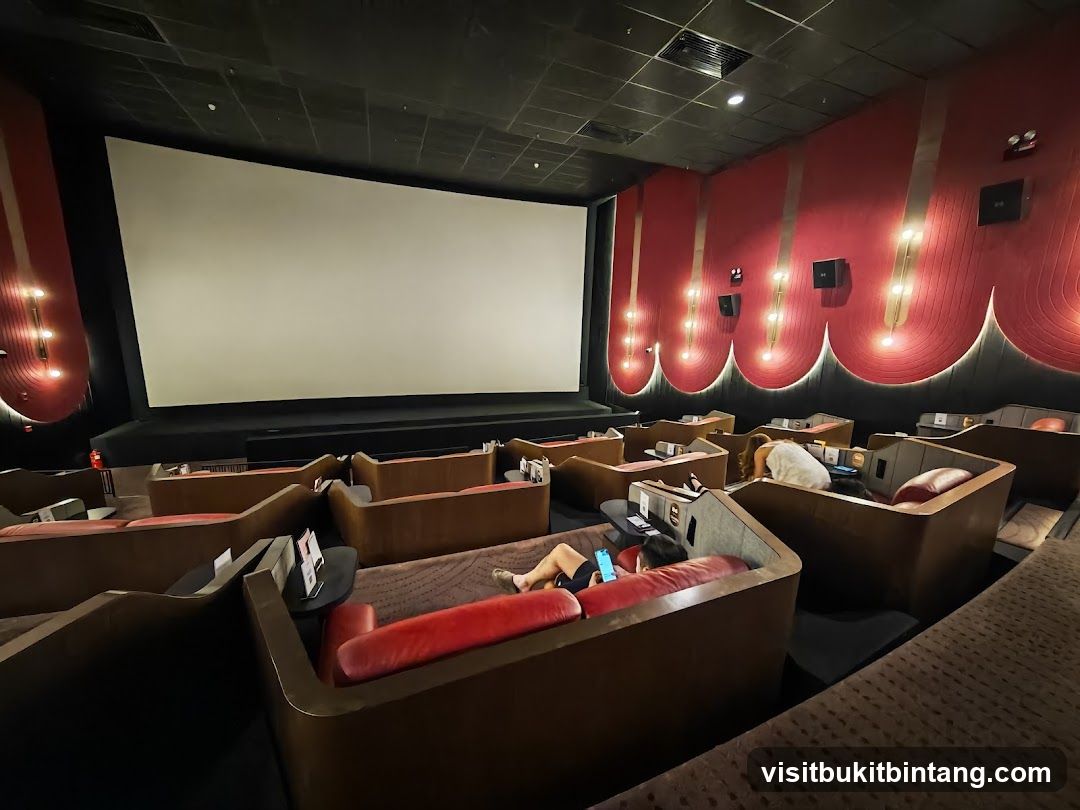 Cinema Auditorium