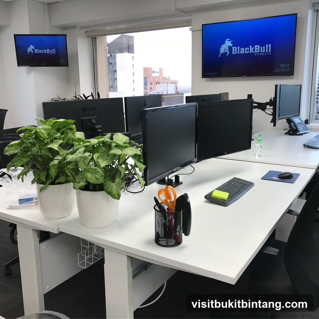 BlackBull Markets Academy