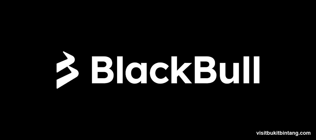 BlackBull Logo