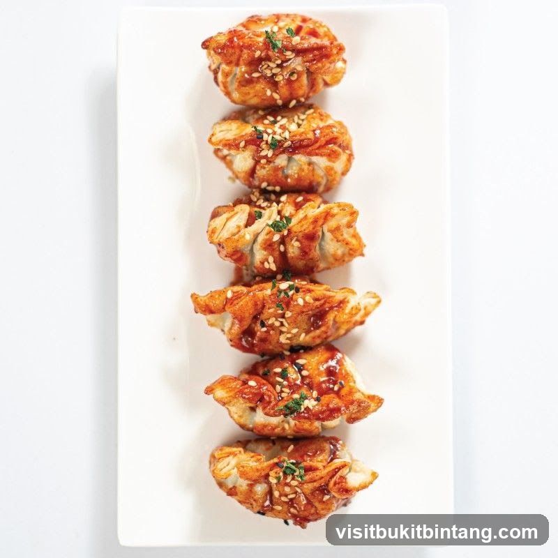 Fried Dumplings