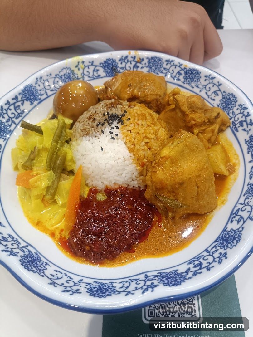 Curry Chicken Rice Plate