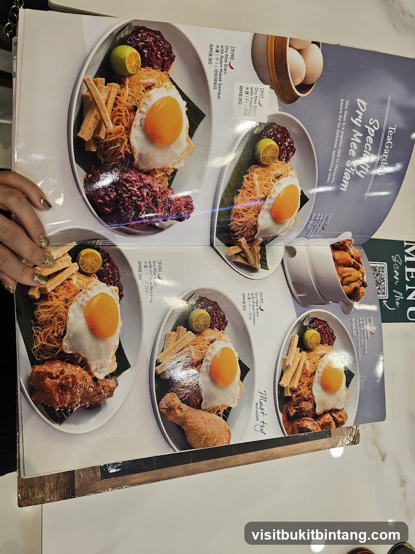 TeaGarden Specialty Dry Mee Siam