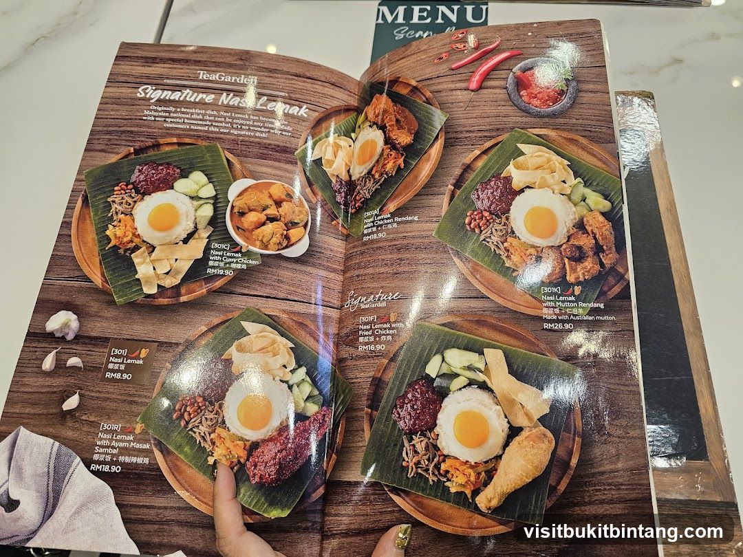 Signature Nasi Lemak