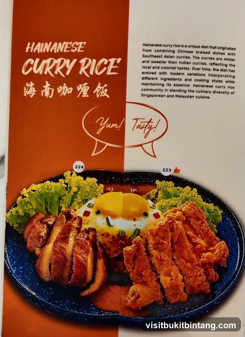 Hainanese Curry Rice