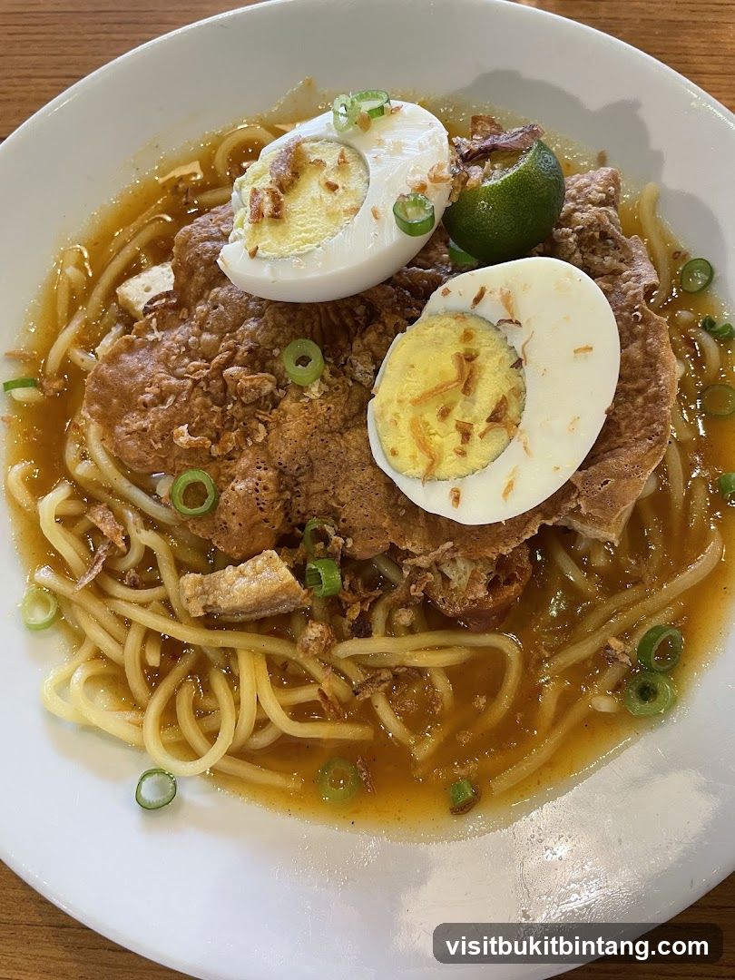 Noodle Dish with Egg and Meat