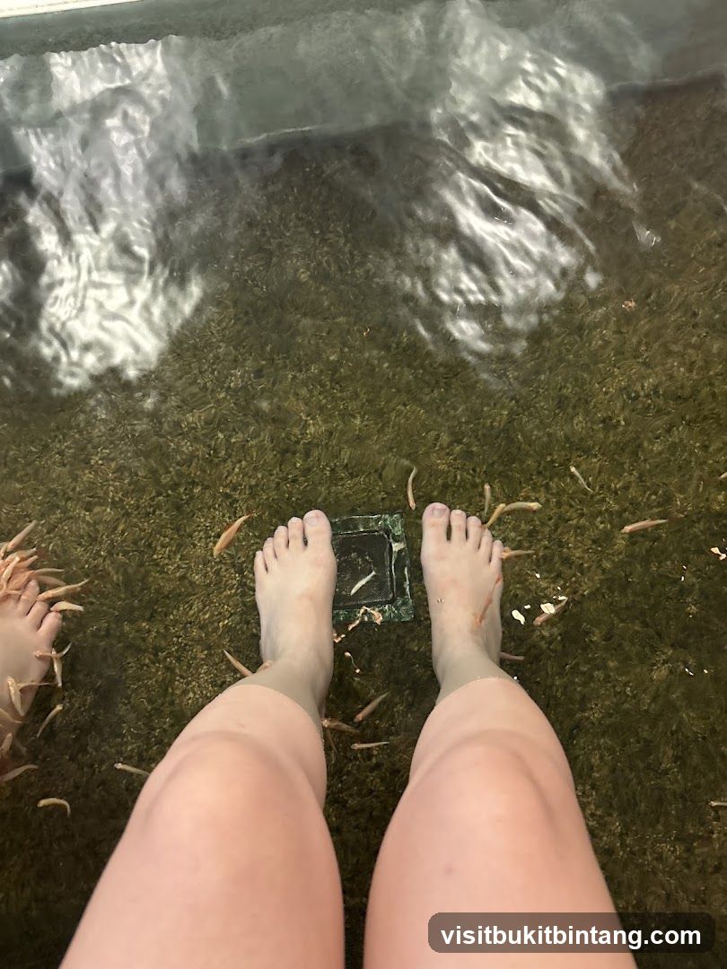 Fish Pedicure