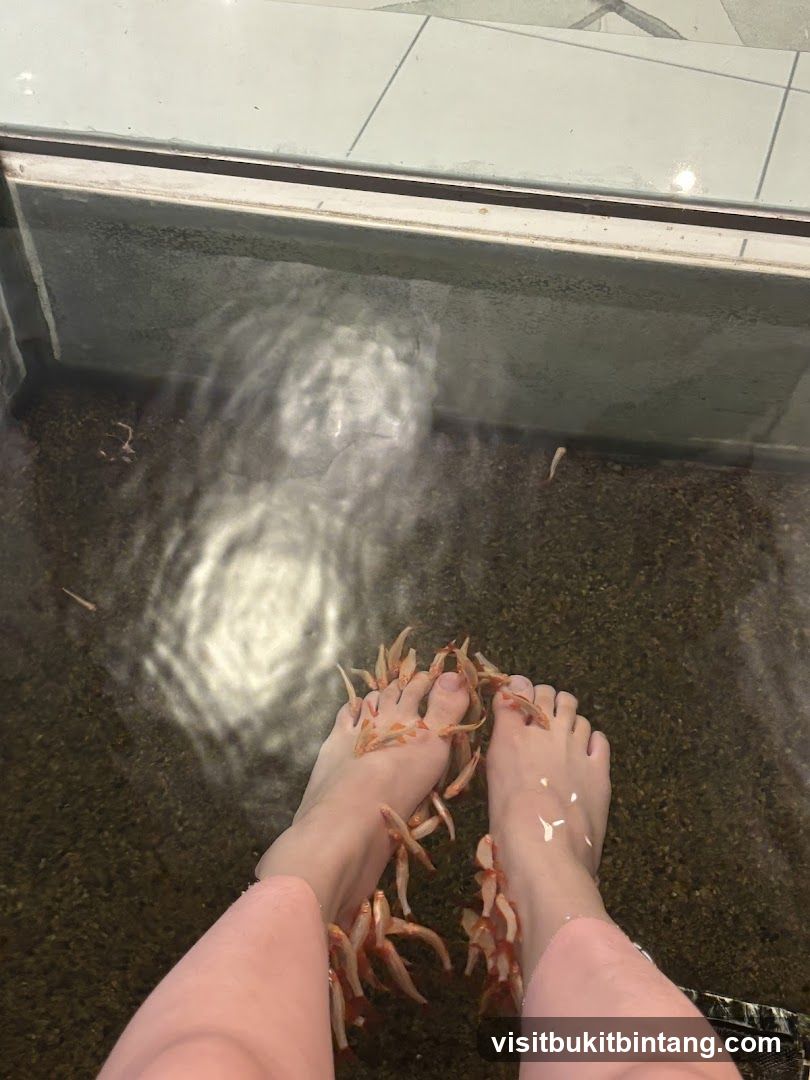 Fish Pedicure