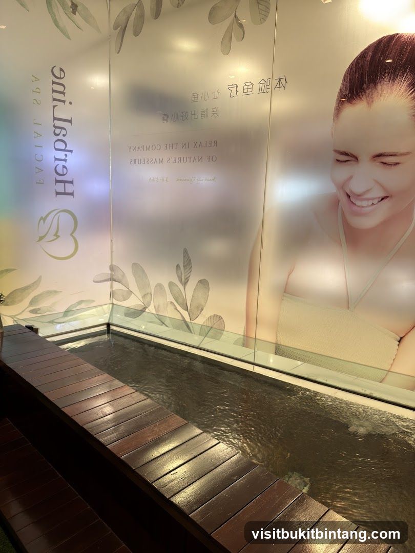 Spa Interior with Water Feature