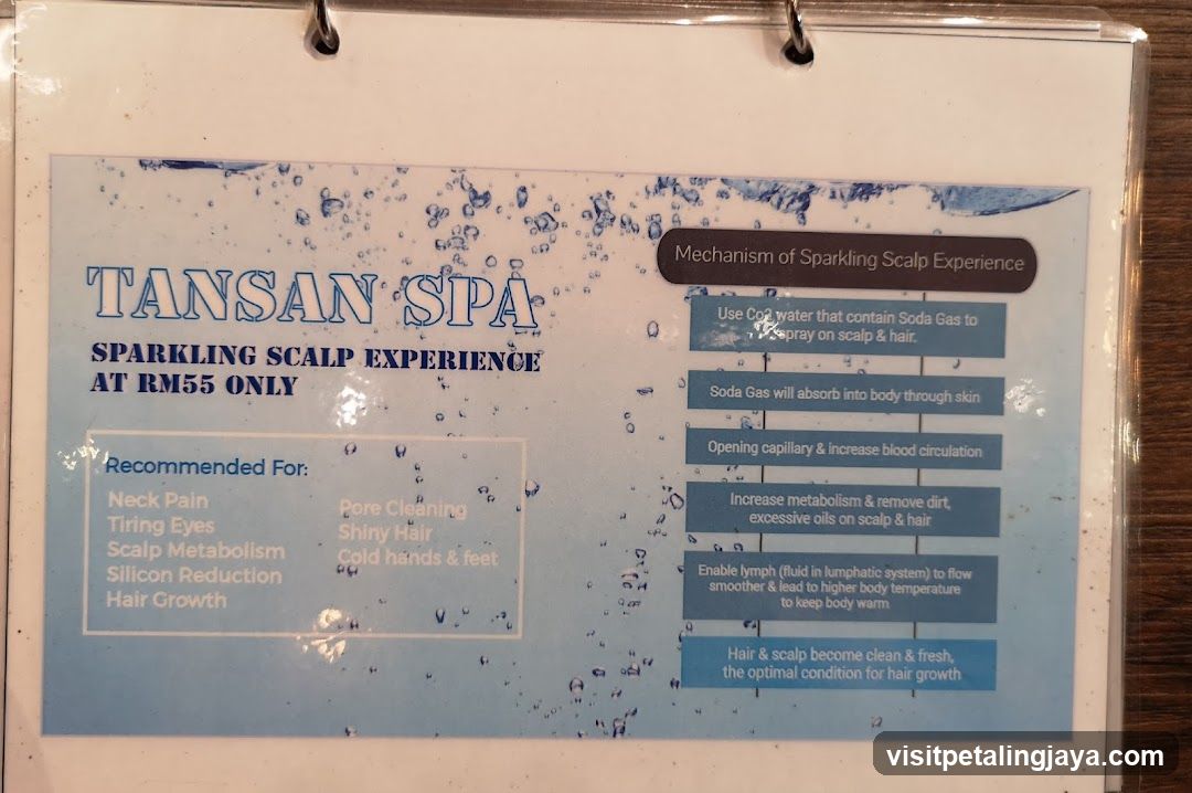 Tansan Spa Sparkling Scalp Experience